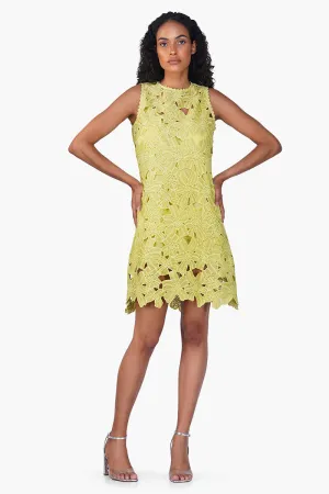 Fall For Neon Floral Lace Short Dress