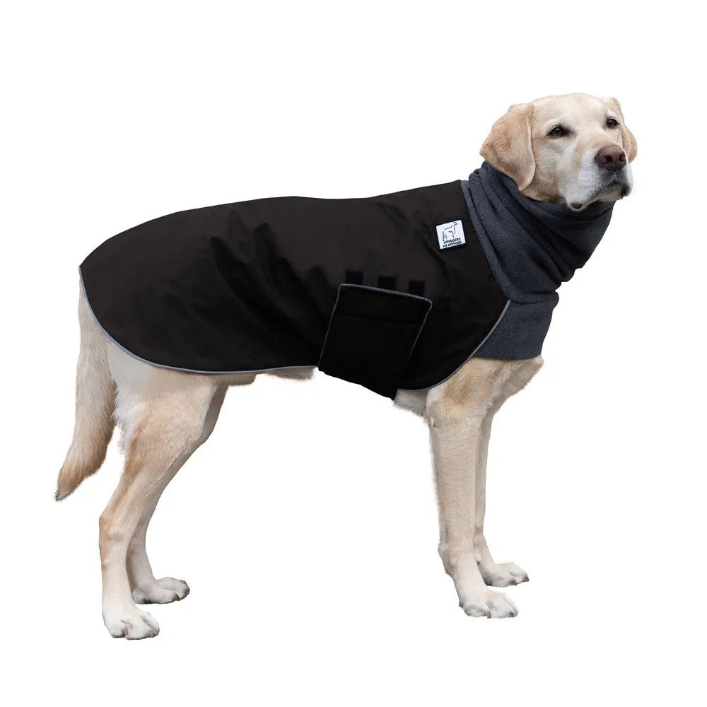 Labrador Retriever Winter Coat