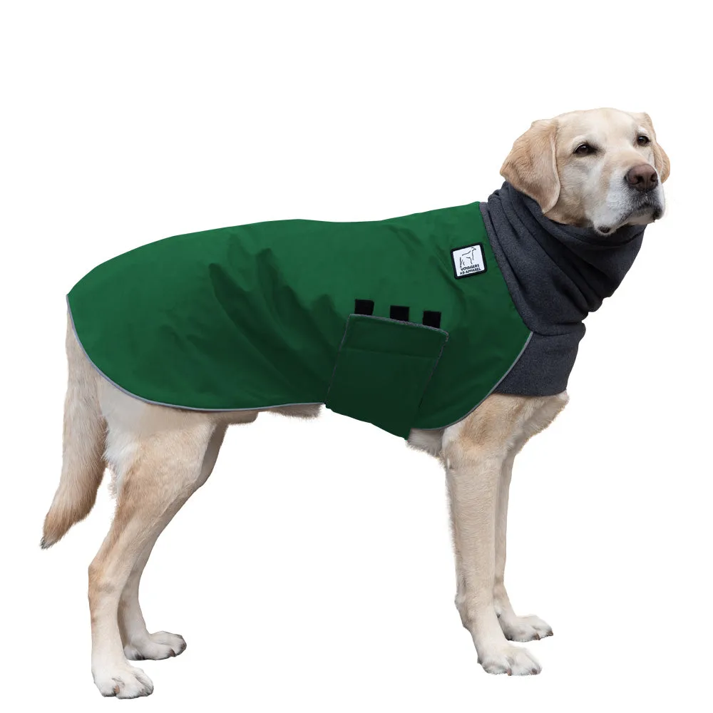 Labrador Retriever Winter Coat