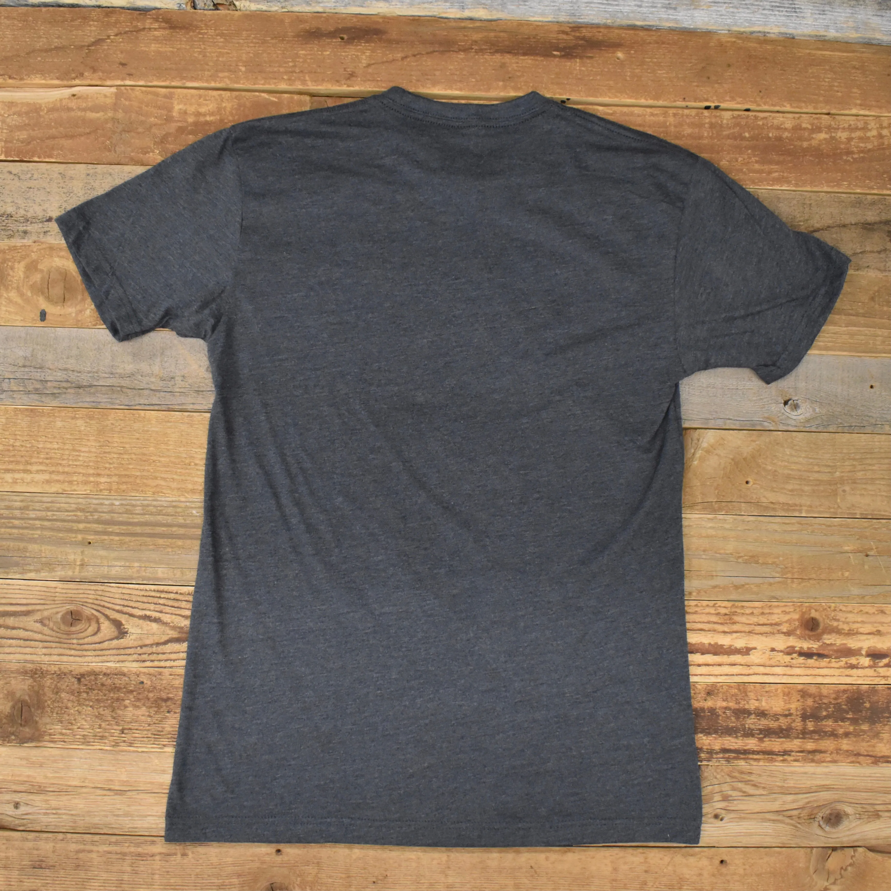 Men's Surf Wyoming® Prismatic Bison Tee - Charcoal